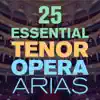 Various Artists - 25 Essential Tenor Opera Arias, Songs & Duets with  from Mozart, Puccini, Bizet, Verdi, Donizetti & More