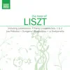 Various Artists - The Best of Liszt
